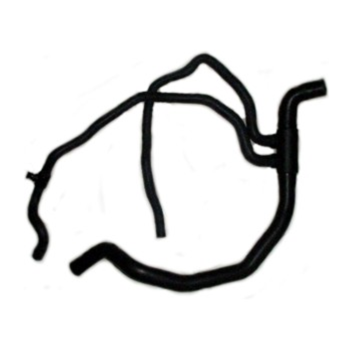 imagem_MjAyNi0wMy0xOVQyMTowMjozNC0wMzowMA==