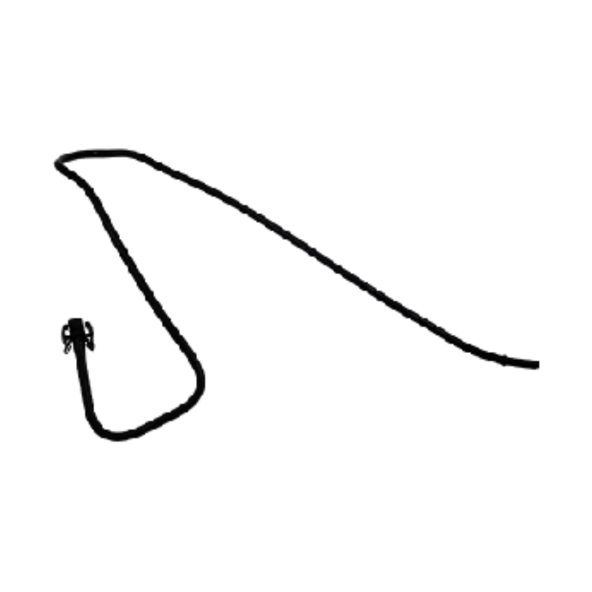 imagem_MjAyNi0wMy0xOVQyMDo1NTozMS0wMzowMA==