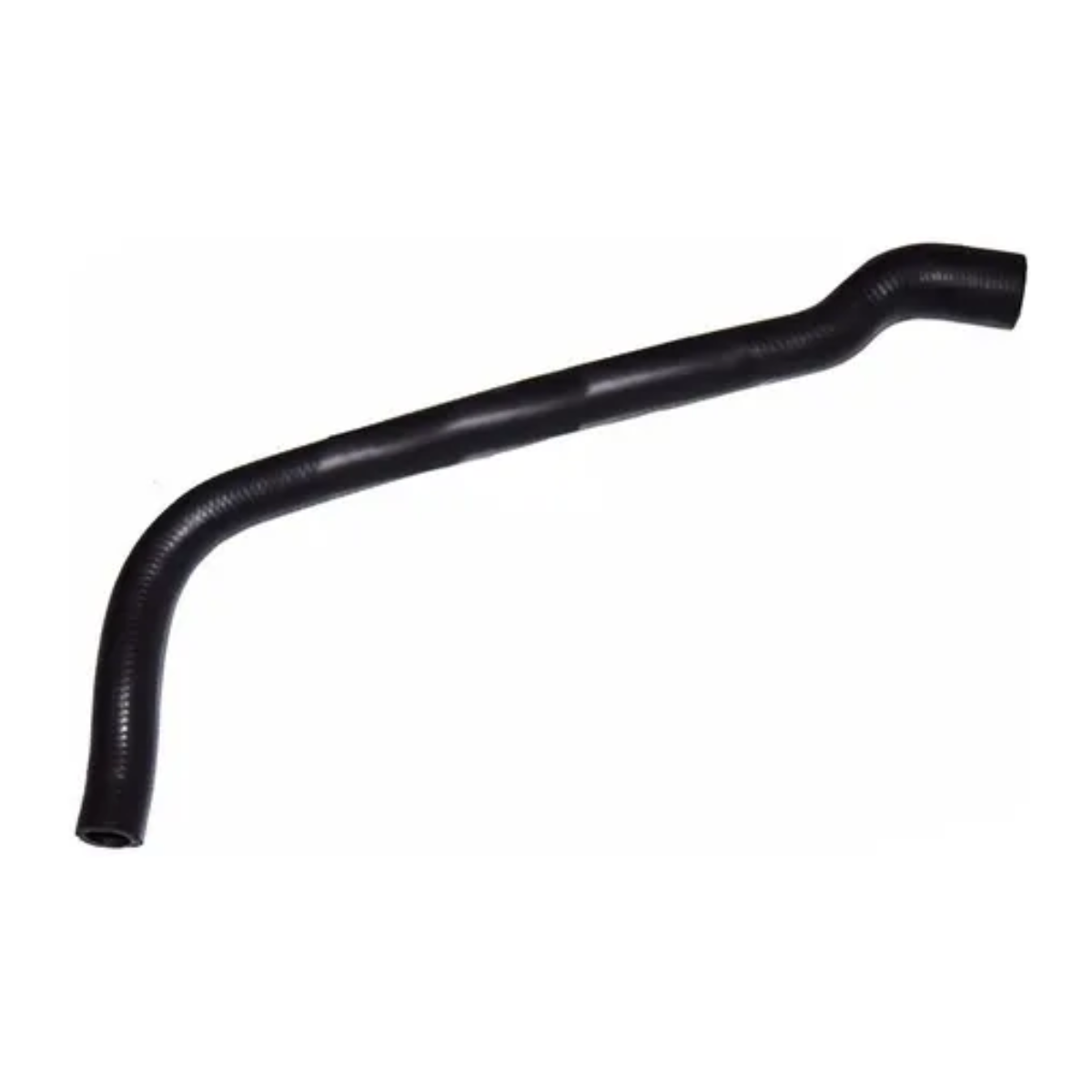 imagem_MjAyNi0wMy0xOVQyMjozMjo0MS0wMzowMA==