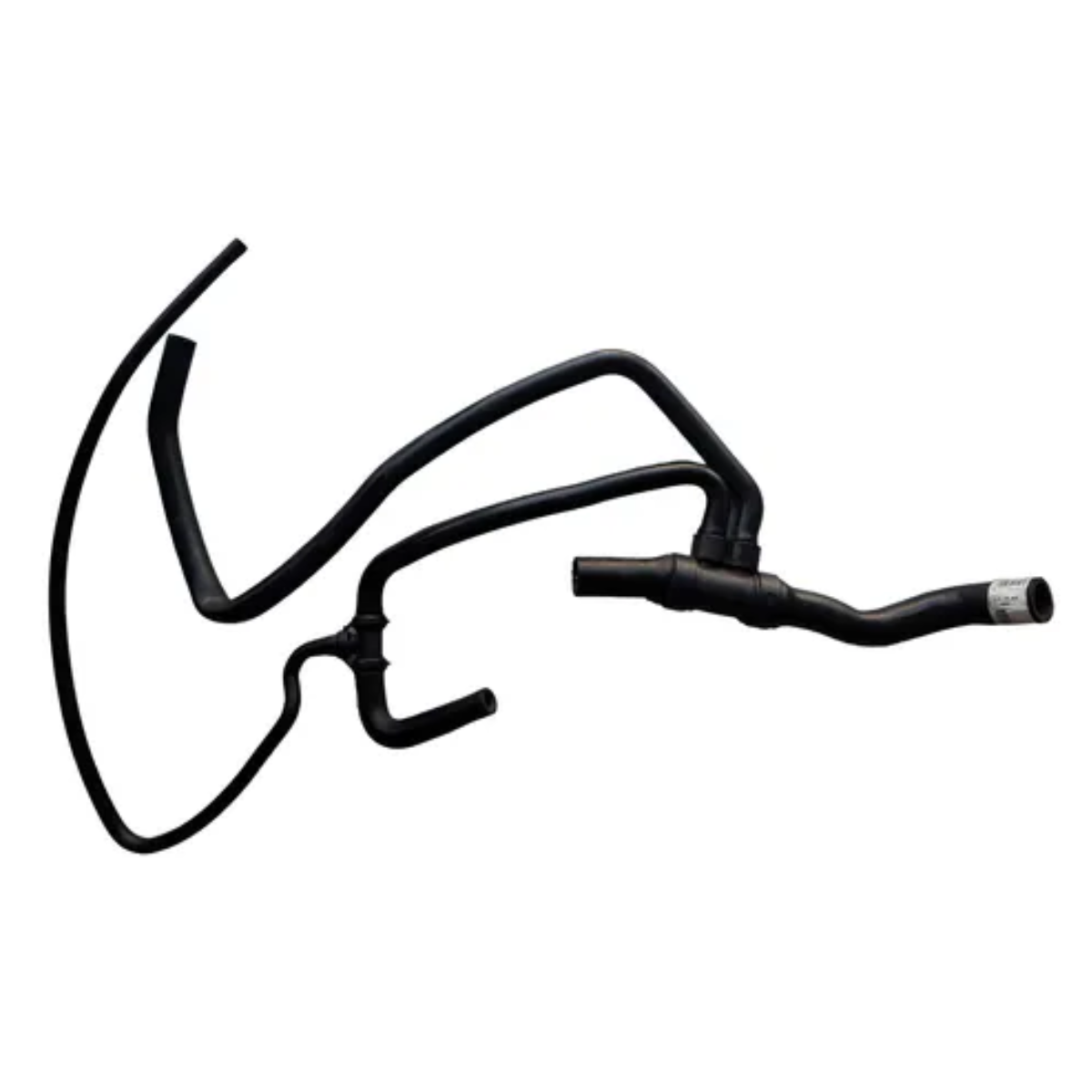 imagem_MjAyNi0wMy0xOVQxNjowNDo1Ni0wMzowMA==