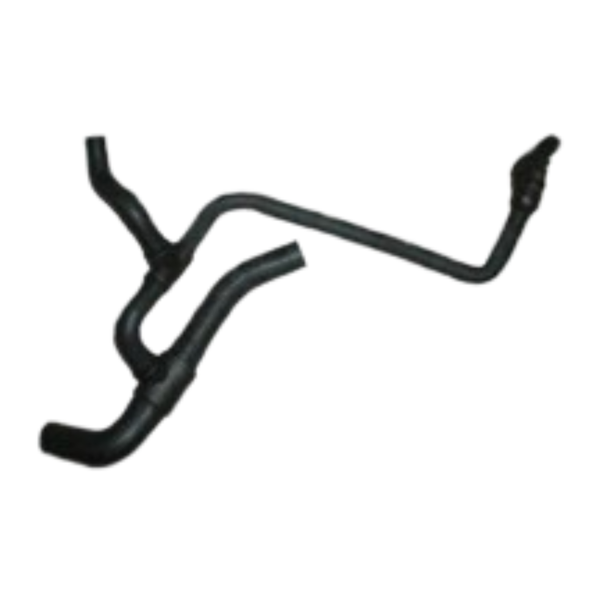 imagem_MjAyNi0wMy0xOVQxNjoxMjo1OS0wMzowMA==