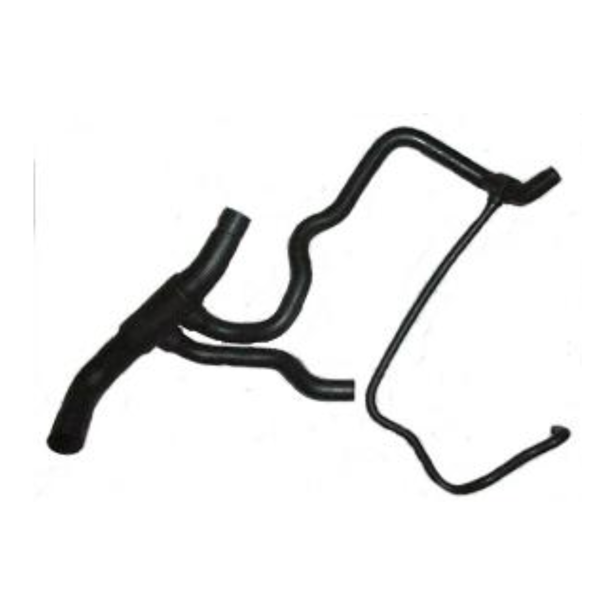 imagem_MjAyNi0wMy0xOVQyMDoyMzoxNC0wMzowMA==