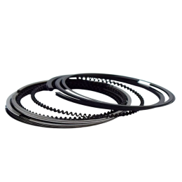 imagem_MjAyNS0xMC0zMVQxMjowODo1Ni0wMzowMA==