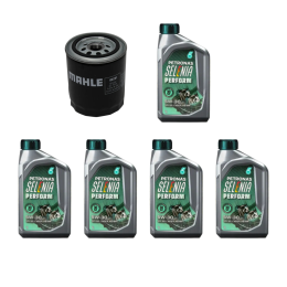 Kit Troca Óleo Petronas Selenia Perform 5w30 API SP Ford Ranger 4.0 v6 1997/