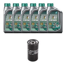 Kit Troca Óleo Selenia 5w30 Ford Mondeo 2.5 24v V6 1996/2001