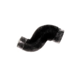 imagem_MjAyNi0wMy0xOVQxOTo0Nzo1Ni0wMzowMA==