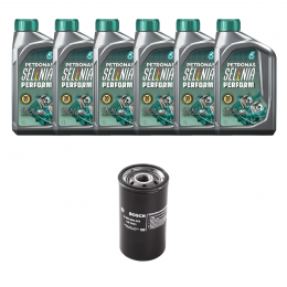 Kit Troca Óleo Selenia 5w30 Edge 3.5 V6 Duratec 2008/2015