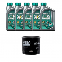 Kit Troca Óleo Petronas 5W30 Ford Focus 2.0 16V 2014/