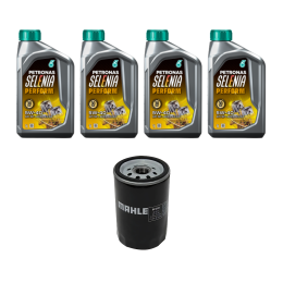 Kit Troca Óleo Selenia Perform 5W40 Petronas VW Golf Bora Polo Passat Jetta Audi A3 A4