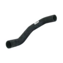 imagem_MjAyNi0wMy0xOVQxNjo0MjoyNi0wMzowMA==