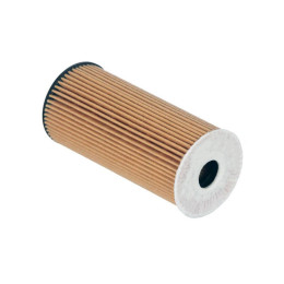 imagem_MjAyNS0wOS0yNFQxMTo0Mjo1NS0wMzowMA==