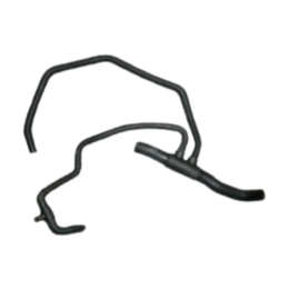 imagem_MjAyNi0wMy0xOVQxNjoxMTozNC0wMzowMA==