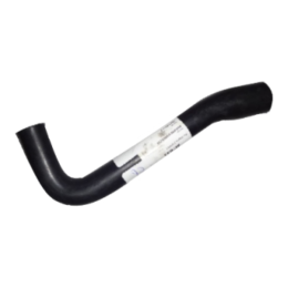 imagem_MjAyNi0wMy0yMFQwMjoxNTo0MS0wMzowMA==