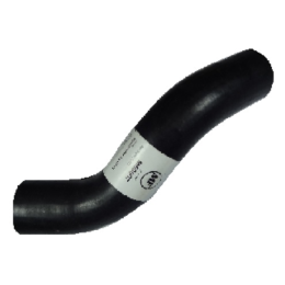 imagem_MjAyNi0wMy0yMFQwMzozNDowNC0wMzowMA==