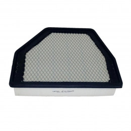 Filtro Ar Motor Gm Captiva 2.4 3.6 2008/ JFAW09