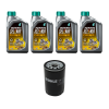 Kit Troca Óleo Selenia Perform 5W40 Petronas VW Golf Bora Polo Passat Jetta Audi A3 A4 - 1