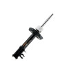 Amortecedor Dianteiro Cofap Powershock Fiat Palio 11/18 Grand Siena 12/18 GP32914PS - 1