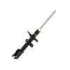 Amortecedor Dianteiro Cofap Turbogás Renault Oroch 15/18 GP30567 - 1