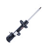 Amortecedor Traseiro Cofap Turbogás Jeep Compass 17/18 GP33276 - 1
