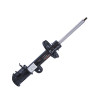Amortecedor Traseiro Cofap Turbogás Jeep Compass 17/18 GP33278 - 1