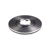 Disco Dianteiro Fremax Hyundai H100 94/99 (Par) BD0100 - 2