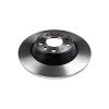 Disco Traseiro Fremax Audi A6 02/12 (Par) BD5313 - 2