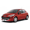 Freio Discos e Pastilhas Peugeot 207 1.6 16v 2009/ (Kit Traseiro) - 2