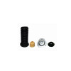 Kit Amortecedor Dianteiro Sampel Ford Nova Ecosport 13/17 SK242S - 1