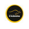 Mola Dianteira Fabrini Ford F4000 93/98 FO0287 FO0288 - 2