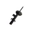 Amortecedor Traseiro Esquerdo Cofap Land Rover Freelander 2 2006/2014 GP33395 - 1