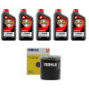 Kit Troca Óleo Havoline 20w50 Ford Escort 1.8 16V Zetec 1996/2003 - 1