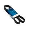 Correia Poly V Dayco Fiat Brava 1.6 16V 1999/ Hyundai I30 Tucson 2.0 16V 2005/ DAY3PK670 - 1